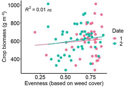 Does weed diversity mitigate yield losses?